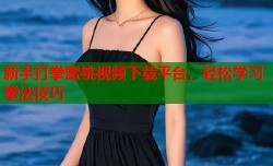 新手打拳蜜桃视频下载平台，轻松学习拳法技巧