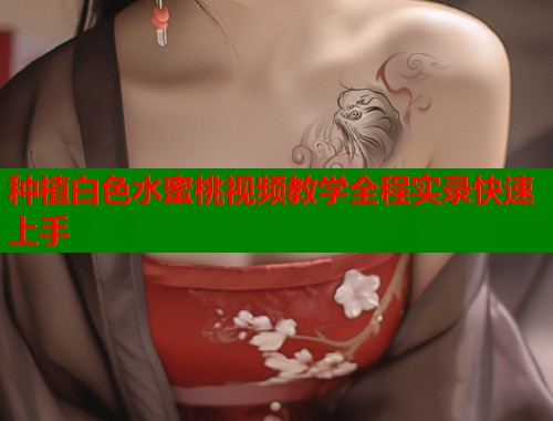 种植白色水蜜桃视频教学全程实录快速上手  第1张
